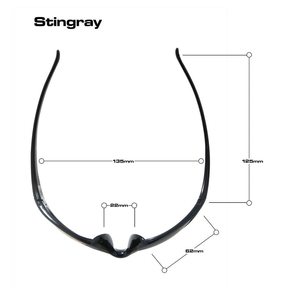 Bloc Stingray Sunglasses Shiny Black - Polarised Grey Lens