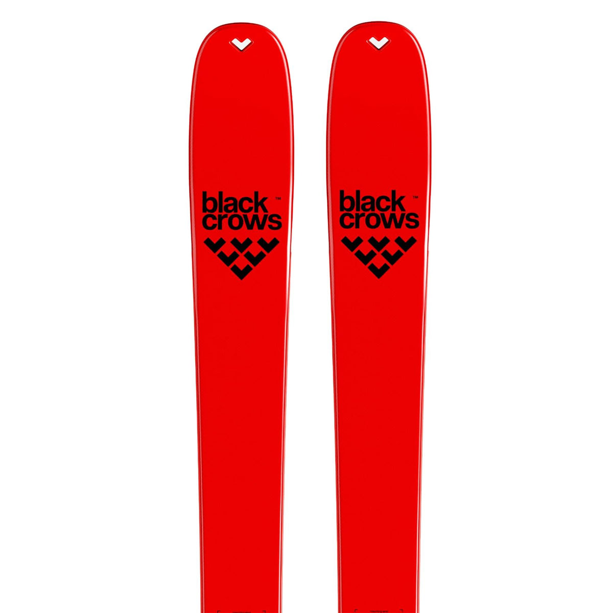 Black Crows Camox Freebird Touring Skis + Skin Set 2027
