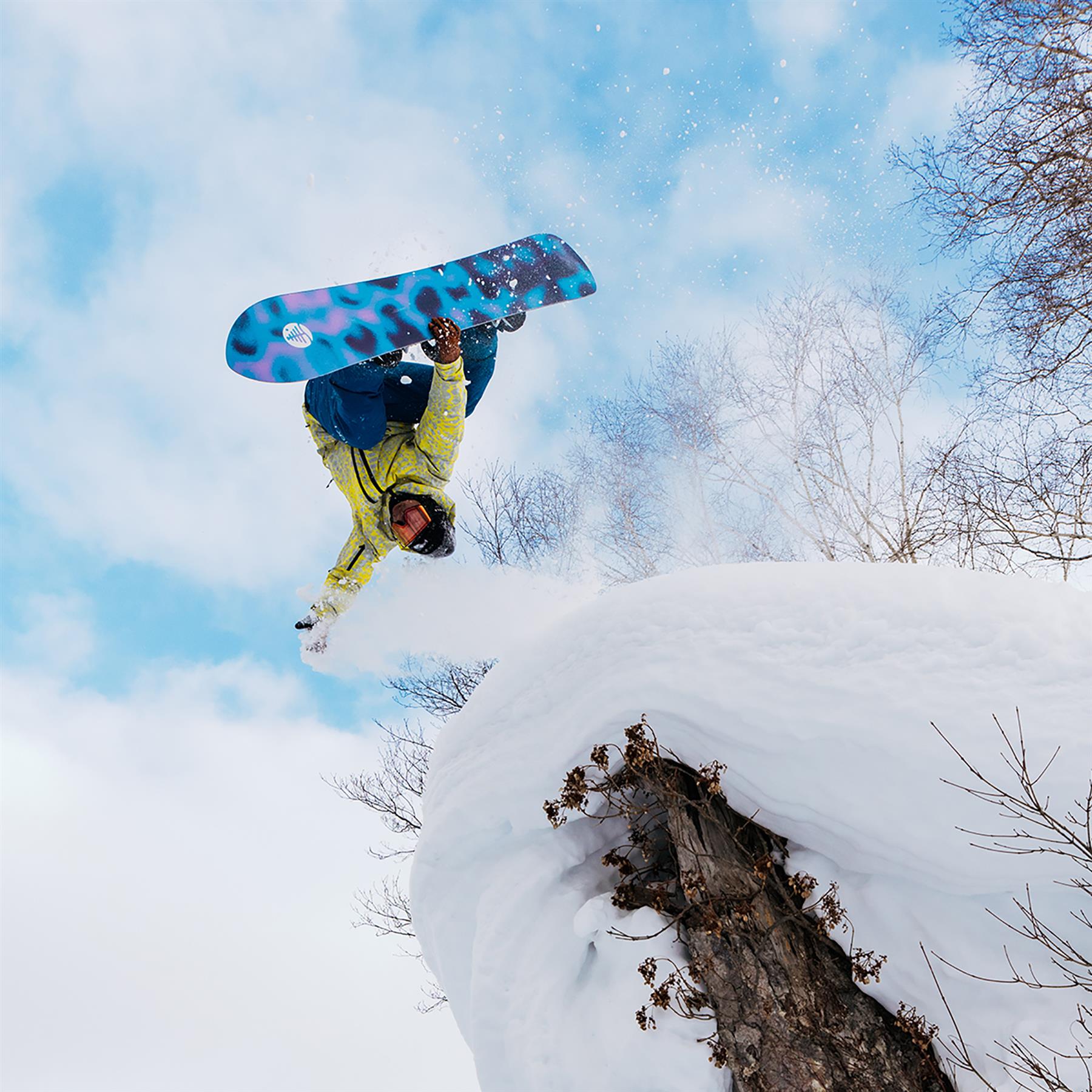 Burton Family Tree Sketch Artist Camber Unisex Snowboard 2026 155cm