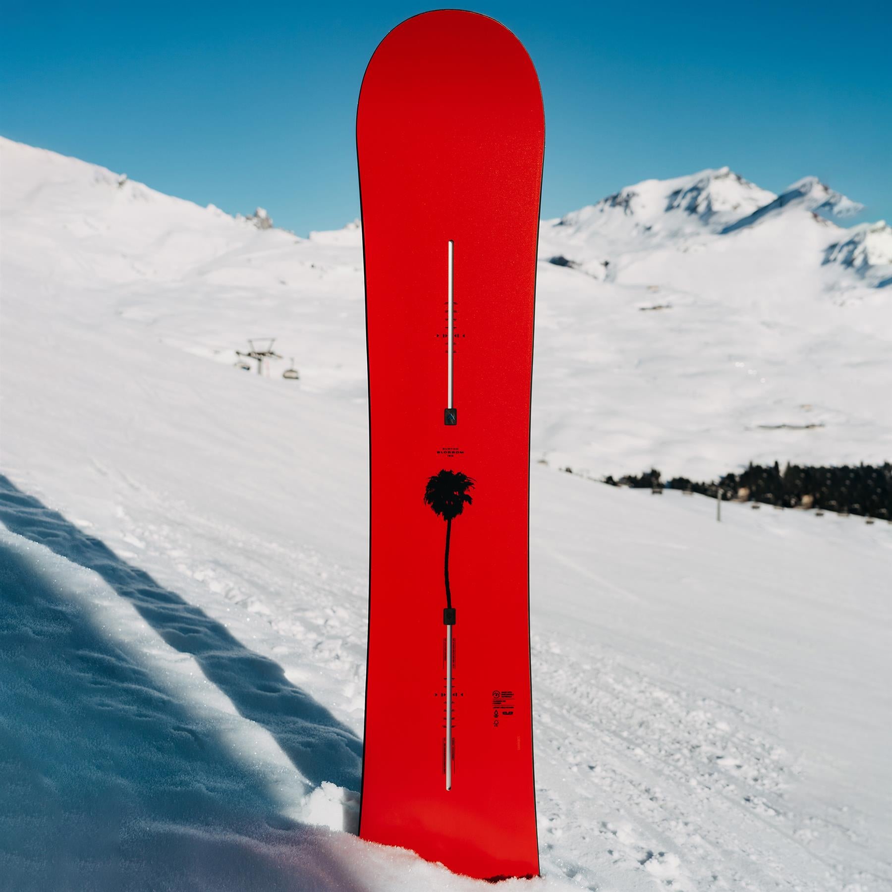 Burton Blossom Camber Unisex Snowboard 2026 149cm