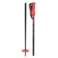 Line Grip Stick Ski Poles Deep Purple